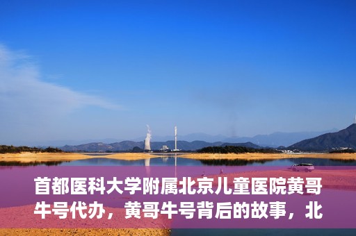 首都医科大学附属北京儿童医院黄哥牛号代办，黄哥牛号背后的故事，北京儿童医院名医背后的故事与探索。