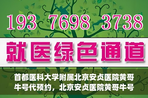 首都医科大学附属北京安贞医院黄哥牛号代预约，北京安贞医院黄哥牛号预约服务解析