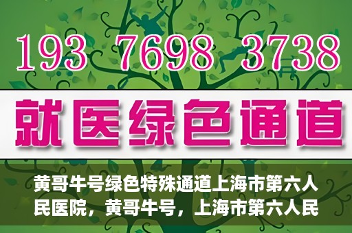黄哥牛号绿色特殊通道上海市第六人民医院，黄哥牛号，上海市第六人民医院绿色特殊通道揭秘