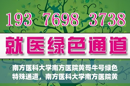 南方医科大学南方医院黄哥牛号绿色特殊通道，南方医科大学南方医院黄哥牛号，绿色特殊通道开启健康之门