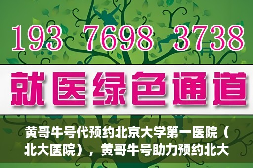 黄哥牛号代预约北京大学第一医院（北大医院），黄哥牛号助力预约北大医院——北京大学第一医院权威预约服务开启