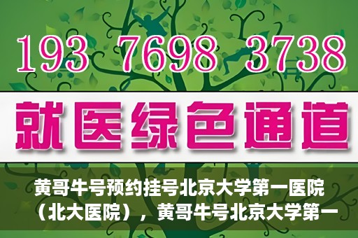 黄哥牛号预约挂号北京大学第一医院（北大医院），黄哥牛号北京大学第一医院预约挂号启动