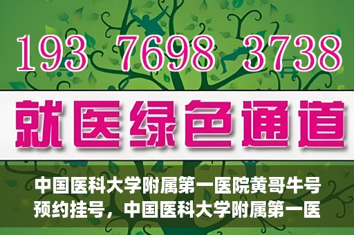 中国医科大学附属第一医院黄哥牛号预约挂号，中国医科大学附属第一医院黄哥牛号预约挂号指南，轻松挂号，健康无忧！