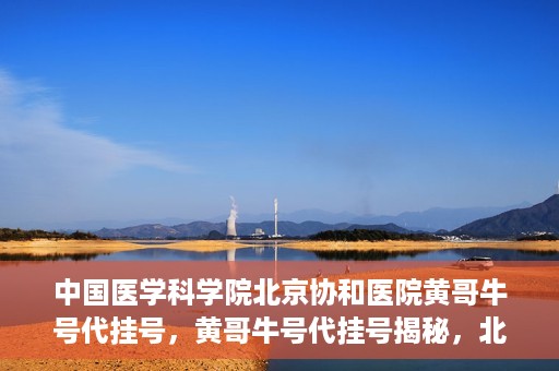 中国医学科学院北京协和医院黄哥牛号代挂号，黄哥牛号代挂号揭秘，北京协和医院挂号背后的故事