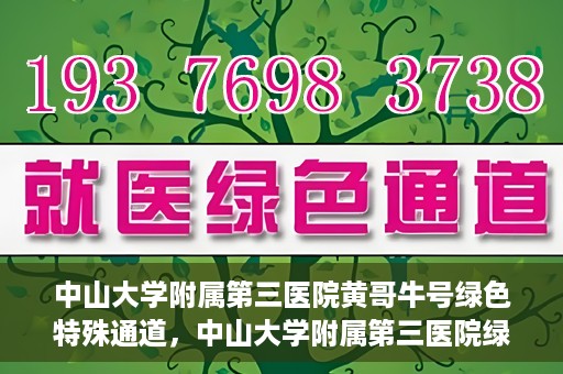 中山大学附属第三医院黄哥牛号绿色特殊通道，中山大学附属第三医院绿色特殊通道，黄哥牛号引领医疗创新之路