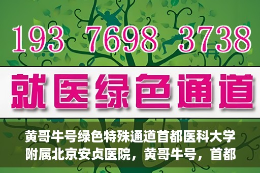 黄哥牛号绿色特殊通道首都医科大学附属北京安贞医院，黄哥牛号，首都医科大学附属北京安贞医院绿色特殊通道开启健康之门