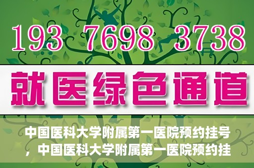 中国医科大学附属第一医院预约挂号，中国医科大学附属第一医院预约挂号指南，一站式解决您的就医难题