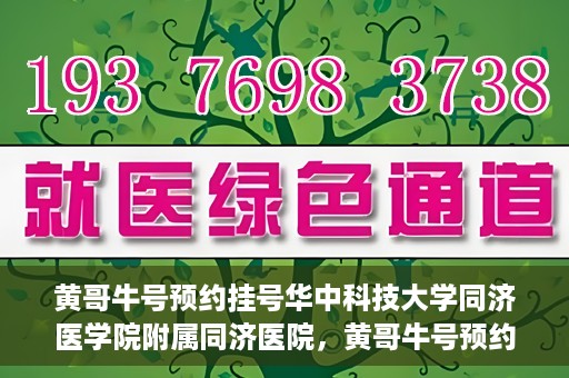黄哥牛号预约挂号华中科技大学同济医学院附属同济医院，黄哥牛号预约挂号服务，华中科技大学同济医学院附属同济医院便捷就医新体验