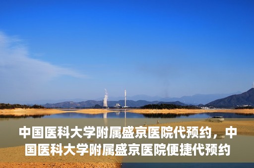 中国医科大学附属盛京医院代预约，中国医科大学附属盛京医院便捷代预约服务解析
