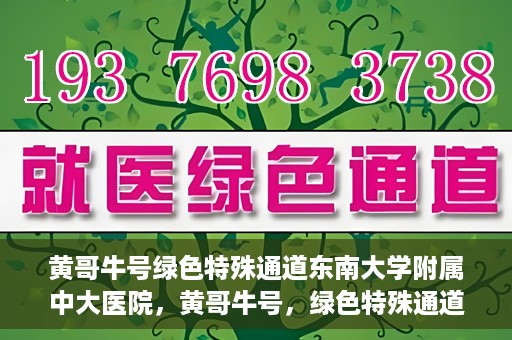 黄哥牛号绿色特殊通道东南大学附属中大医院，黄哥牛号，绿色特殊通道下的中大医院探索