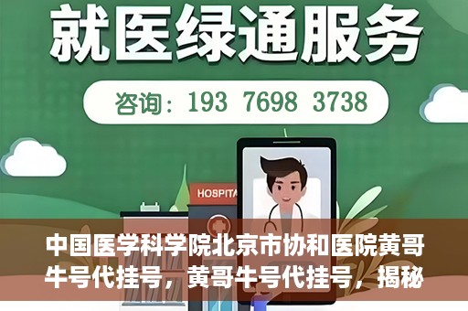 中国医学科学院北京市协和医院黄哥牛号代挂号，黄哥牛号代挂号，揭秘中国医学科学院北京市协和医院挂号背后的故事