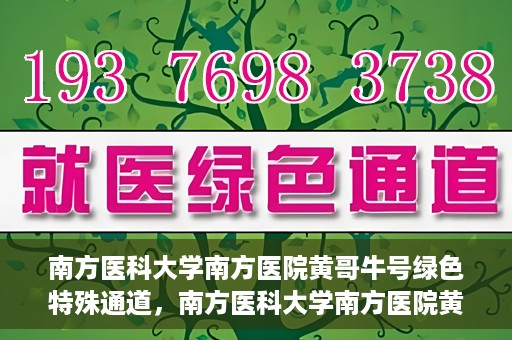 南方医科大学南方医院黄哥牛号绿色特殊通道，南方医科大学南方医院黄哥牛号，绿色特殊通道开启健康之门