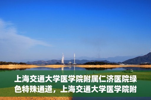 上海交通大学医学院附属仁济医院绿色特殊通道，上海交通大学医学院附属仁济医院绿色特殊通道，高效医疗服务的创新实践