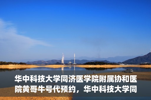 华中科技大学同济医学院附属协和医院黄哥牛号代预约，华中科技大学同济医学院附属协和医院预约服务揭秘，黄哥牛号代预约解析