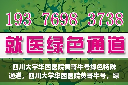 四川大学华西医院黄哥牛号绿色特殊通道，四川大学华西医院黄哥牛号，绿色特殊通道开启生命之门