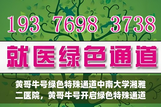 黄哥牛号绿色特殊通道中南大学湘雅二医院，黄哥牛号开启绿色特殊通道——中南大学湘雅二医院新篇章