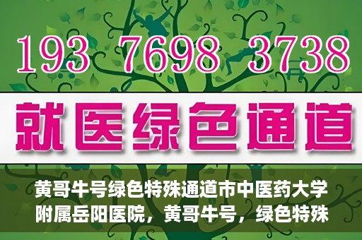 黄哥牛号绿色特殊通道市中医药大学附属岳阳医院，黄哥牛号，绿色特殊通道助力中医药大学附属岳阳医院健康前行
