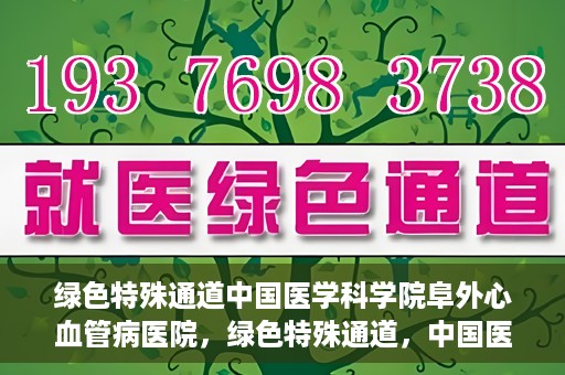 绿色特殊通道中国医学科学院阜外心血管病医院，绿色特殊通道，中国医学科学院阜外心血管病医院的探索与实践
