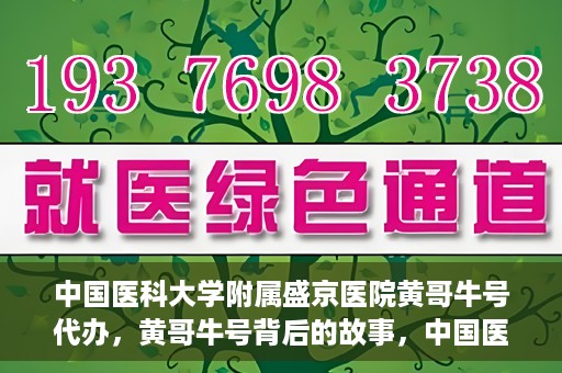 中国医科大学附属盛京医院黄哥牛号代办，黄哥牛号背后的故事，中国医科大学附属盛京医院的信赖之选