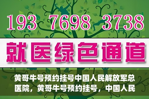黄哥牛号预约挂号中国人民解放军总医院，黄哥牛号预约挂号，中国人民解放军总医院就医新体验
