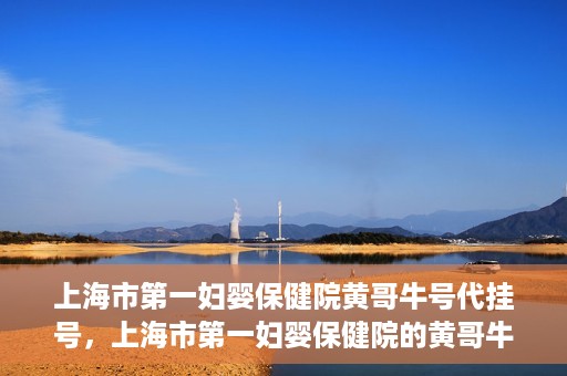 上海市第一妇婴保健院黄哥牛号代挂号，上海市第一妇婴保健院的黄哥牛号代挂号服务解析