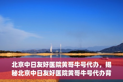 北京中日友好医院黄哥牛号代办，揭秘北京中日友好医院黄哥牛号代办背后的故事