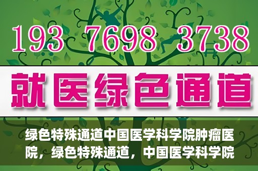 绿色特殊通道中国医学科学院肿瘤医院，绿色特殊通道，中国医学科学院肿瘤医院探索之旅