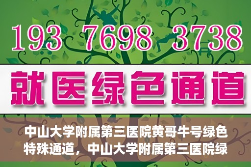 中山大学附属第三医院黄哥牛号绿色特殊通道，中山大学附属第三医院绿色特殊通道，黄哥牛号引领医疗创新之路