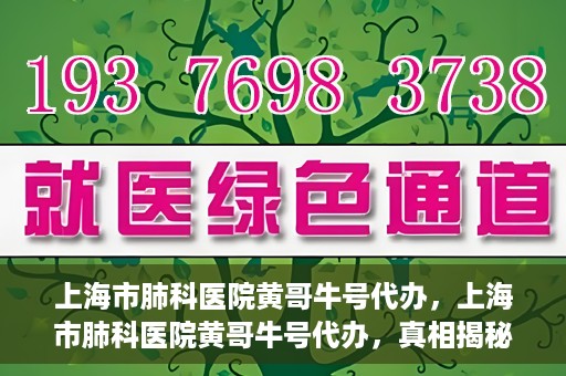 上海市肺科医院黄哥牛号代办，上海市肺科医院黄哥牛号代办，真相揭秘与深度解读