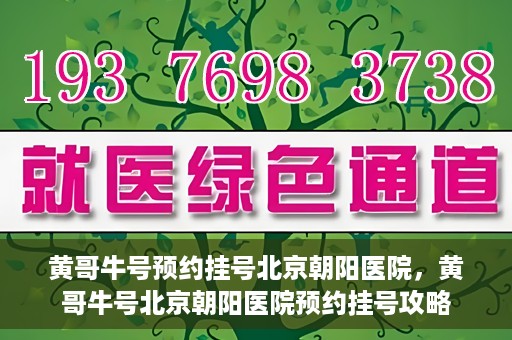 黄哥牛号预约挂号北京朝阳医院，黄哥牛号北京朝阳医院预约挂号攻略