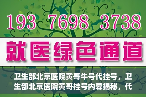 卫生部北京医院黄哥牛号代挂号，卫生部北京医院黄哥挂号内幕揭秘，代挂号背后的故事