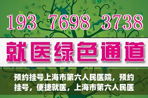 预约挂号上海市第六人民医院，预约挂号，便捷就医，上海市第六人民医院挂号指南