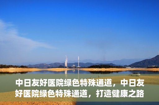 中日友好医院绿色特殊通道，中日友好医院绿色特殊通道，打造健康之路的新篇章