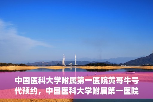 中国医科大学附属第一医院黄哥牛号代预约，中国医科大学附属第一医院黄哥牛号预约服务详解