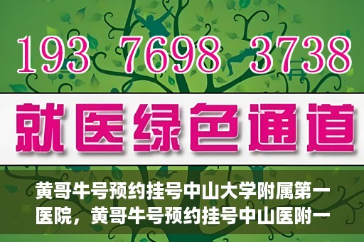 黄哥牛号预约挂号中山大学附属第一医院，黄哥牛号预约挂号中山医附一院，一站式便捷就医体验
