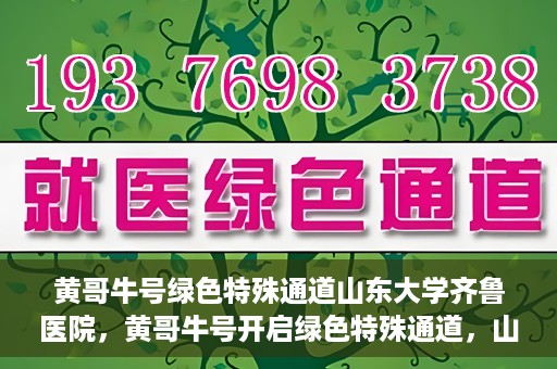 黄哥牛号绿色特殊通道山东大学齐鲁医院，黄哥牛号开启绿色特殊通道，山东大学齐鲁医院焕新篇章
