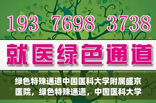 绿色特殊通道中国医科大学附属盛京医院，绿色特殊通道，中国医科大学附属盛京医院的探索与实践