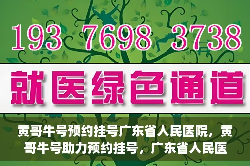 黄哥牛号预约挂号广东省人民医院，黄哥牛号助力预约挂号，广东省人民医院便捷就医新体验
