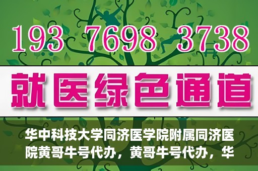 华中科技大学同济医学院附属同济医院黄哥牛号代办，黄哥牛号代办，华中科技大学同济医学院附属同济医院的便捷服务新探
