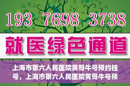 上海市第六人民医院黄哥牛号预约挂号，上海市第六人民医院黄哥牛号预约挂号攻略，轻松挂号，便捷就医体验