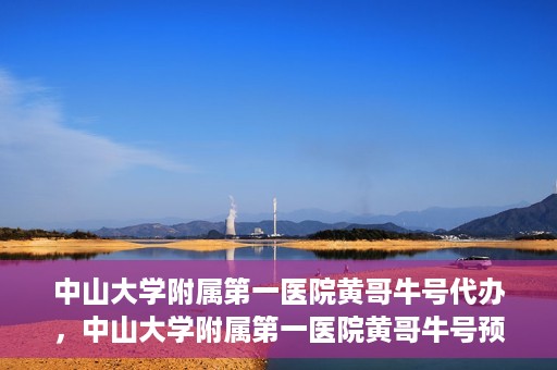 中山大学附属第一医院黄哥牛号代办，中山大学附属第一医院黄哥牛号预约挂号代办攻略