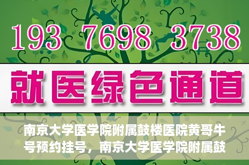 南京大学医学院附属鼓楼医院黄哥牛号预约挂号，南京大学医学院附属鼓楼医院黄哥牛号预约挂号攻略解析
