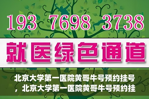 北京大学第一医院黄哥牛号预约挂号，北京大学第一医院黄哥牛号预约挂号攻略，轻松挂号，无忧就医体验