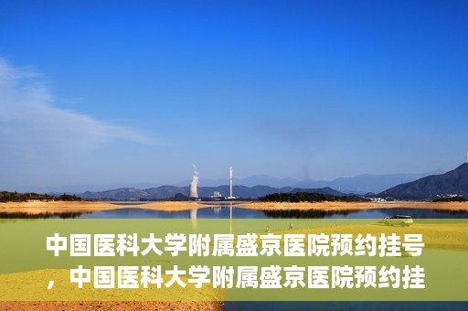 中国医科大学附属盛京医院预约挂号，中国医科大学附属盛京医院预约挂号指南，一站式解决您的挂号难题