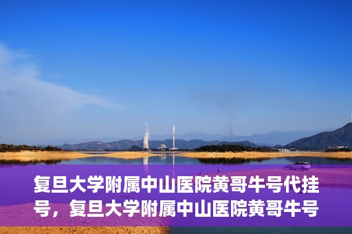 复旦大学附属中山医院黄哥牛号代挂号，复旦大学附属中山医院黄哥牛号代挂号背后的故事与真相探索