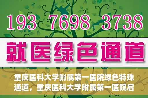 重庆医科大学附属第一医院绿色特殊通道，重庆医科大学附属第一医院启动绿色特殊通道，高效医疗服务的探索与实践