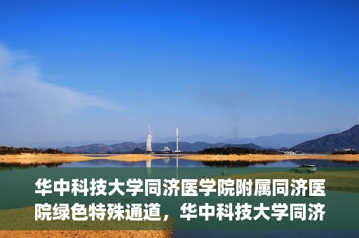 华中科技大学同济医学院附属同济医院绿色特殊通道，华中科技大学同济医院特殊绿色通道的奥秘与力量