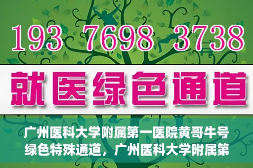 广州医科大学附属第一医院黄哥牛号绿色特殊通道，广州医科大学附属第一医院黄哥牛号，绿色特殊通道开启健康之门