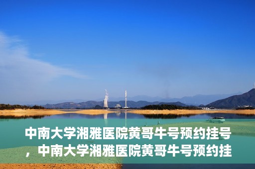 中南大学湘雅医院黄哥牛号预约挂号，中南大学湘雅医院黄哥牛号预约挂号攻略，轻松挂号，无忧就医体验