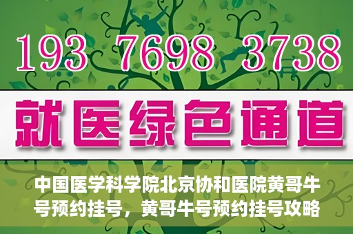 中国医学科学院北京协和医院黄哥牛号预约挂号，黄哥牛号预约挂号攻略，中国医学科学院北京协和医院就医指南
